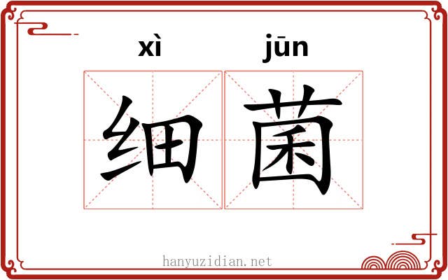 细菌 细菌