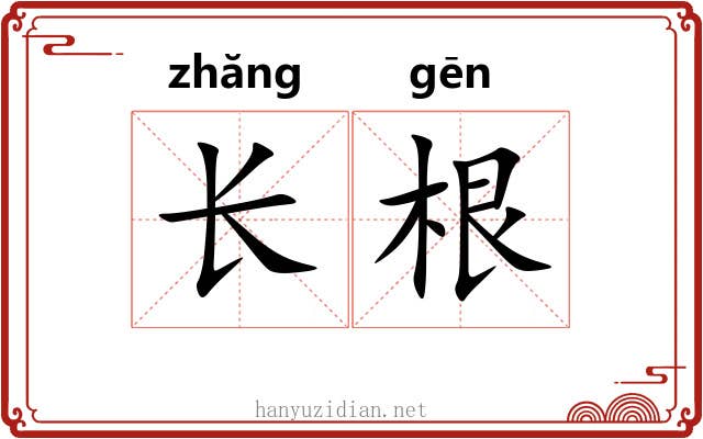 长根