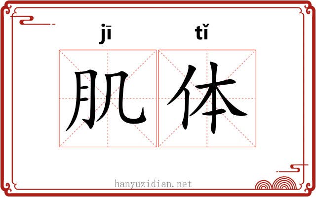 肌体 肌体