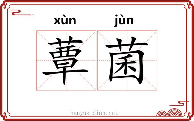 蕈菌