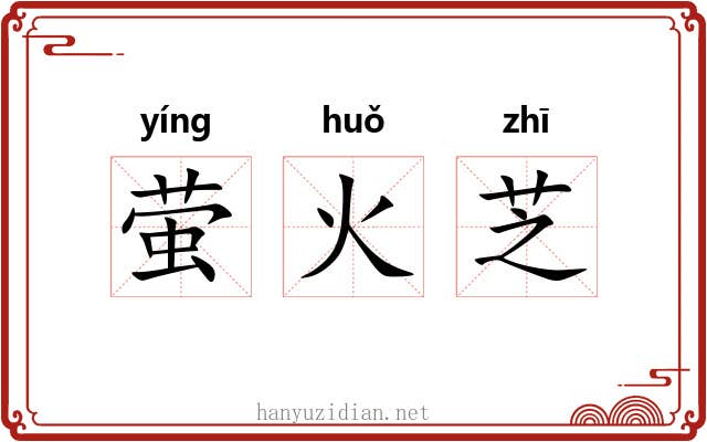 萤火芝 萤火芝