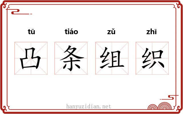 凸条组织
