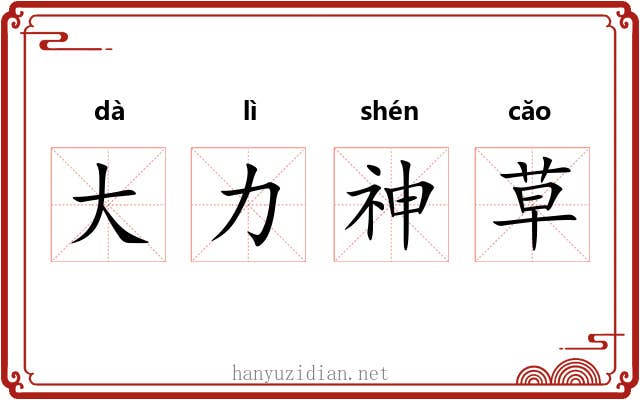 大力神草 大力神草