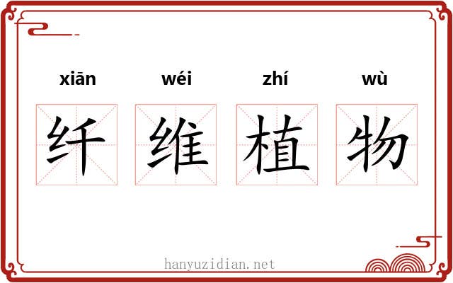 纤维植物 纤维植物