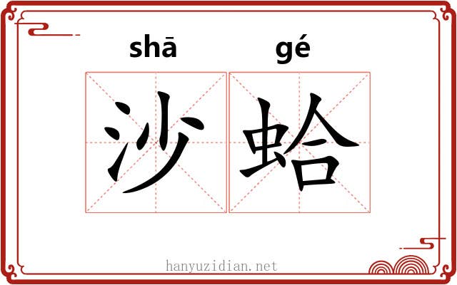 沙蛤