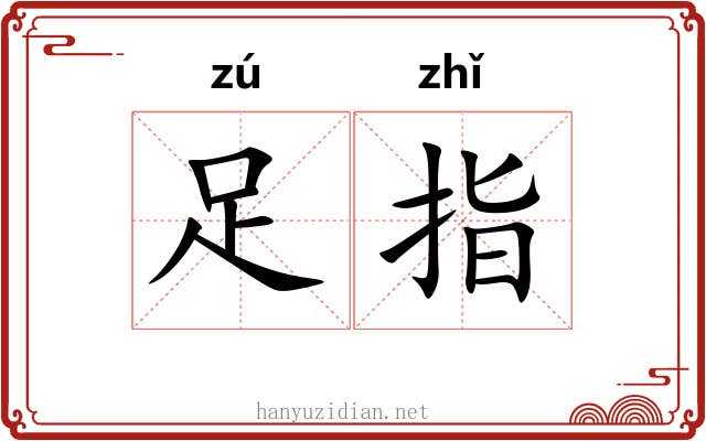 足指 足指