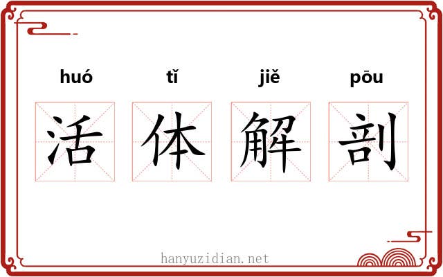 活体解剖