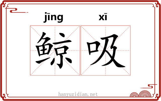 鲸吸