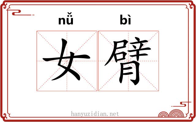 女臂