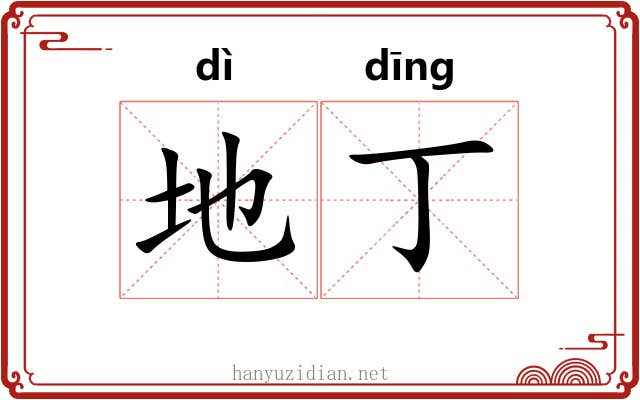 地丁 地丁