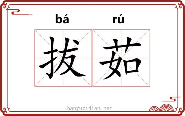 拔茹