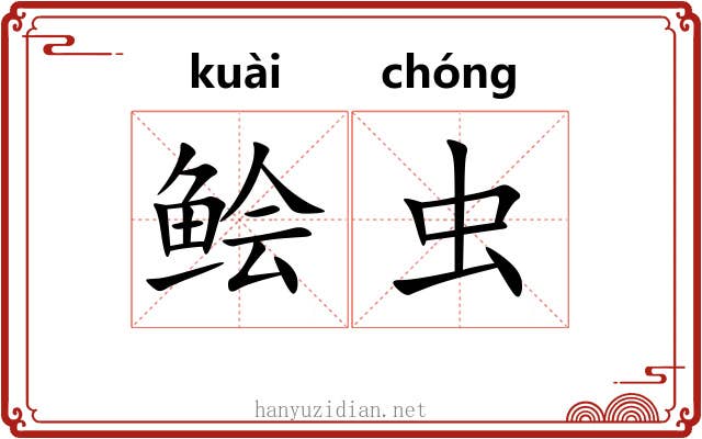 鲙虫 鲙虫