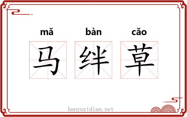 马绊草 马绊草