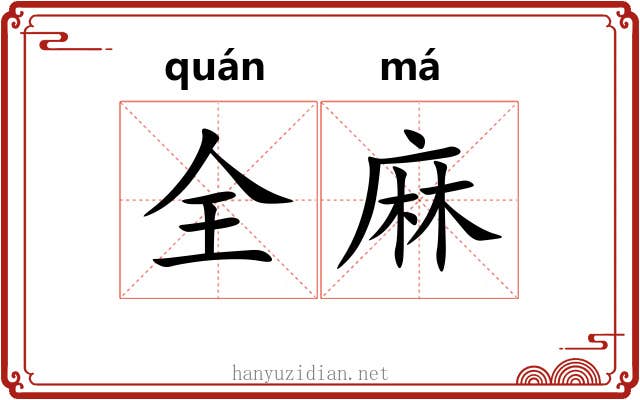 全麻 全麻