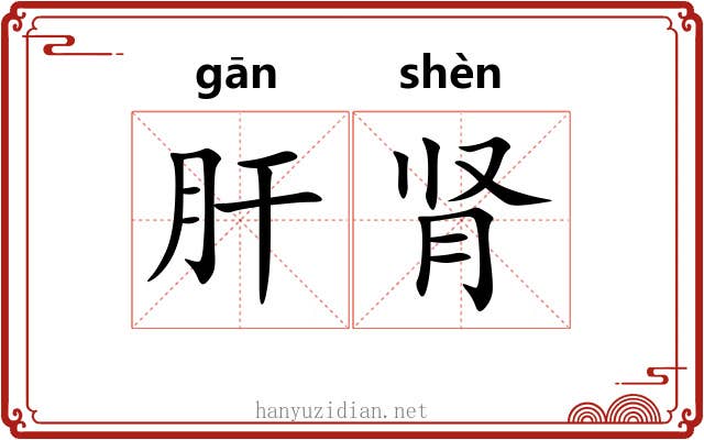 肝肾