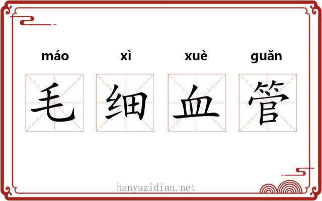 毛细血管