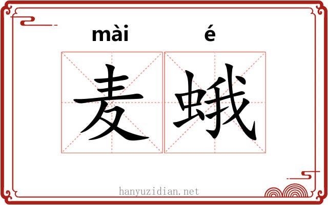 麦蛾