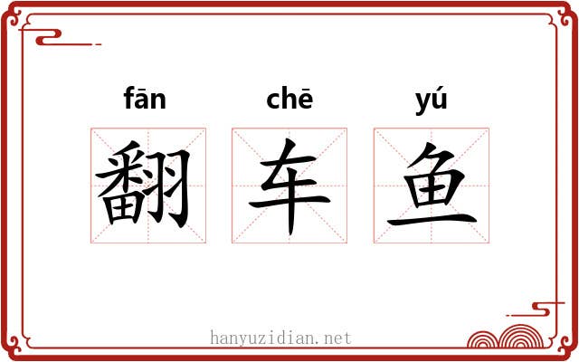 翻车鱼