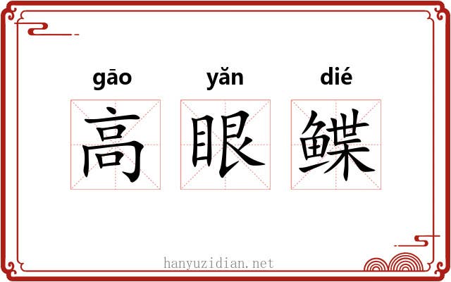 高眼鲽 高眼鲽