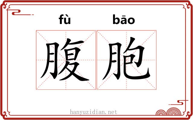腹胞 腹胞