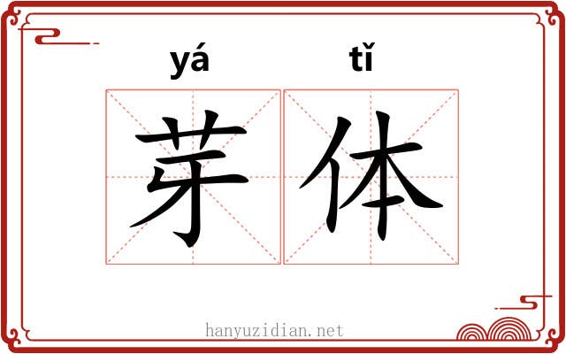 芽体
