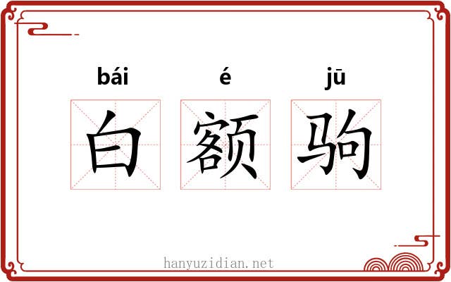 白额驹 白额驹