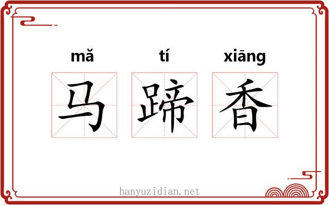 马蹄香
