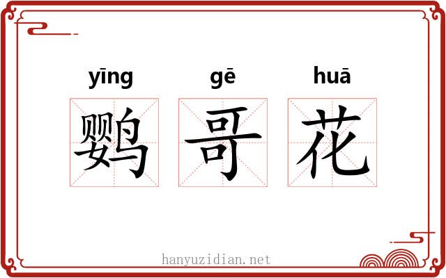 鹦哥花