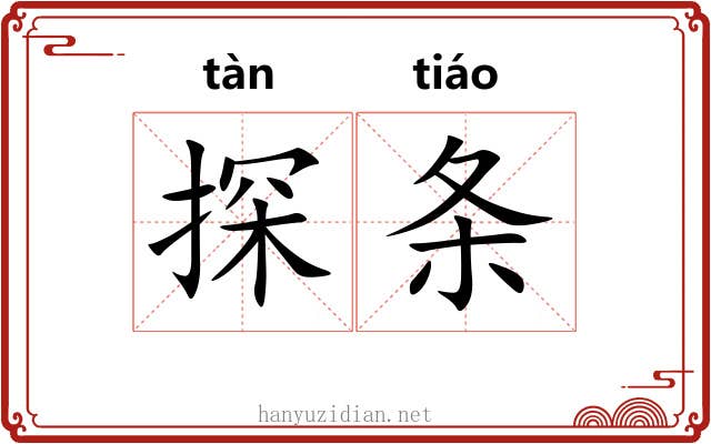 探条 探条