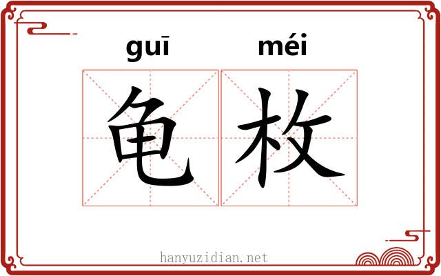 龟枚 龟枚