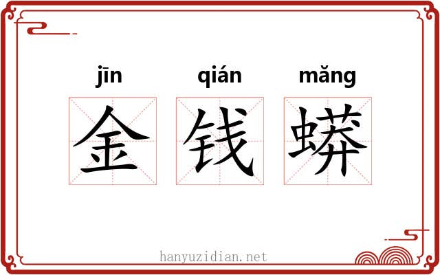 金钱蟒