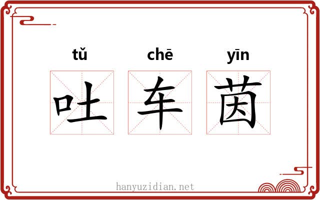 吐车茵 吐车茵