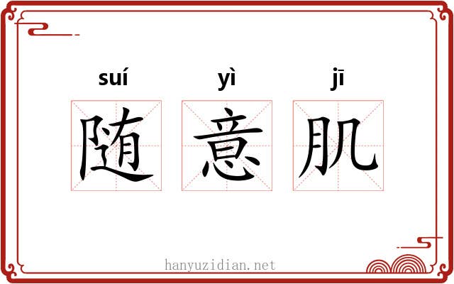 随意肌