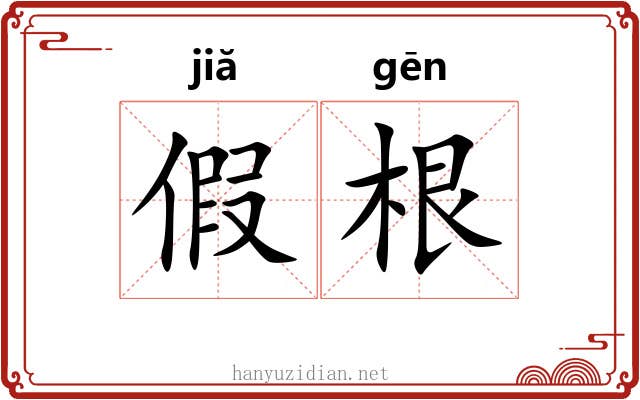 假根 假根