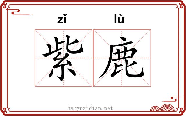 紫鹿 紫鹿