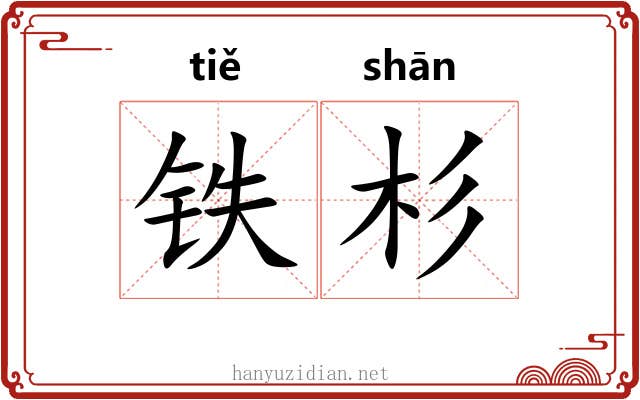 铁杉