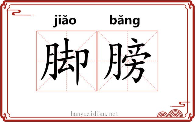 脚膀 脚膀