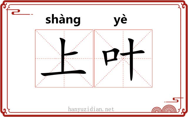 上叶