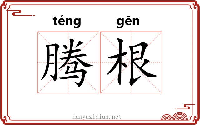 腾根 腾根