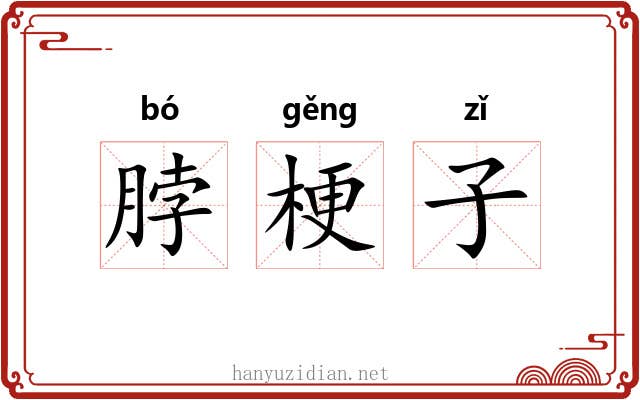 脖梗子