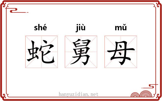 蛇舅母