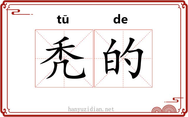 秃的 秃的