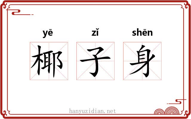 椰子身 椰子身
