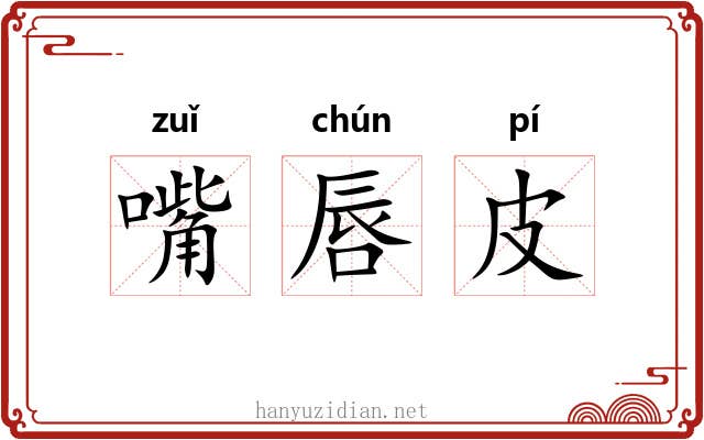 嘴唇皮