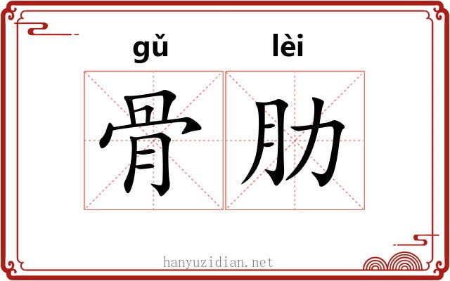 骨肋 骨肋