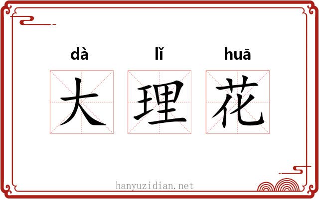 大理花 大理花