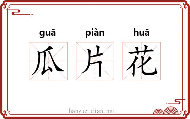 瓜片花 瓜片花