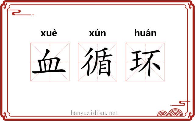 血循环