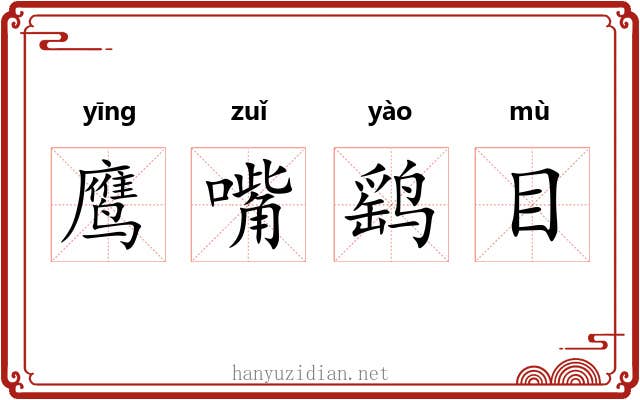 鹰嘴鹞目