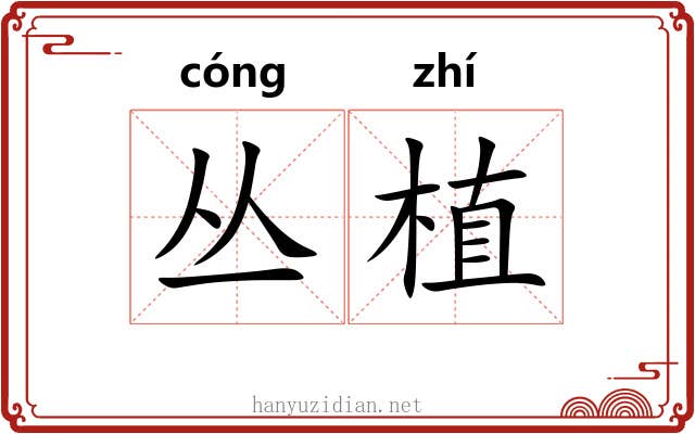 丛植